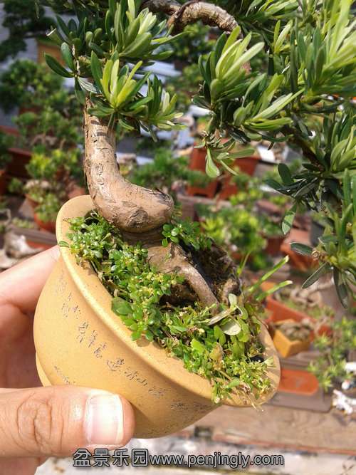 2013-09-01 14.10.58.jpg