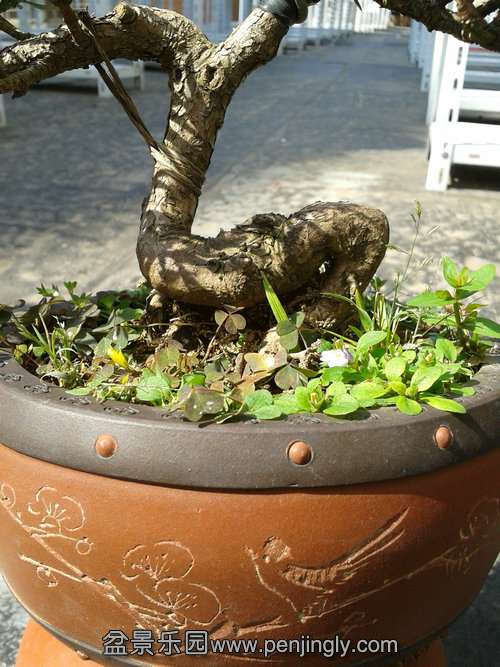 2013-09-01 14.22.11.jpg