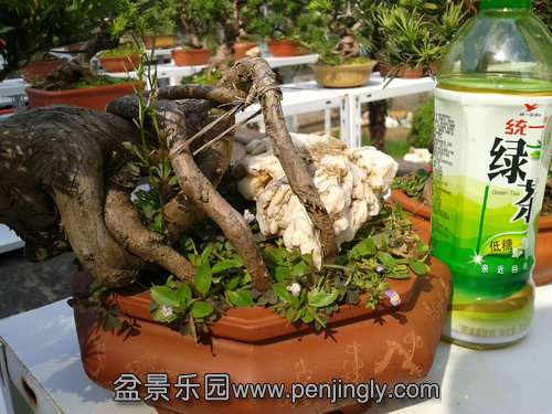 2013-09-01 14.27.42.jpg