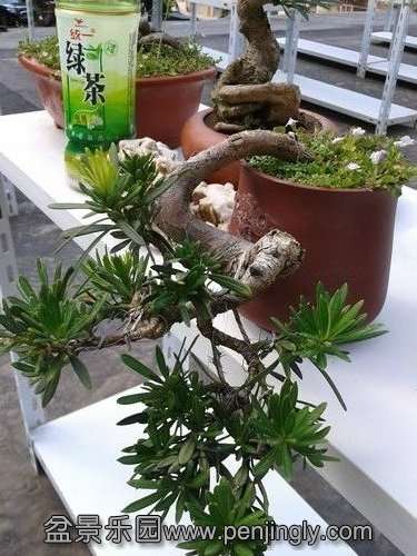 2013-09-01 14.30.00.jpg