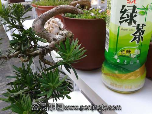 2013-09-01 14.31.20.jpg