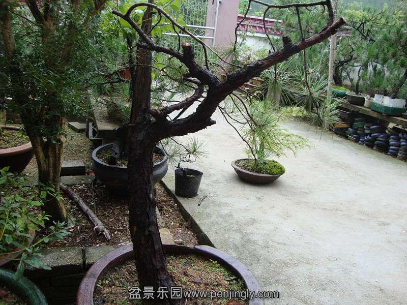 DSC01390_.jpg