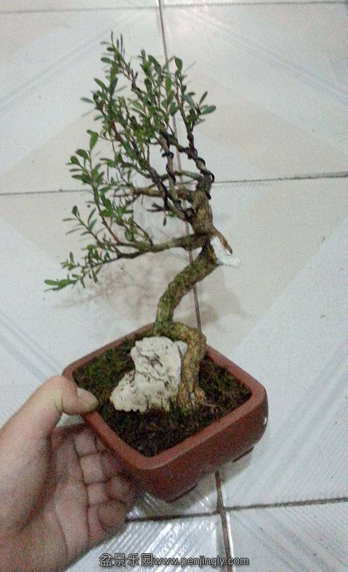 20130902_104819_.jpg