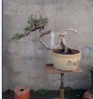 QQͼƬ20130902120124.jpg