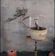 QQͼƬ20130902120128.jpg