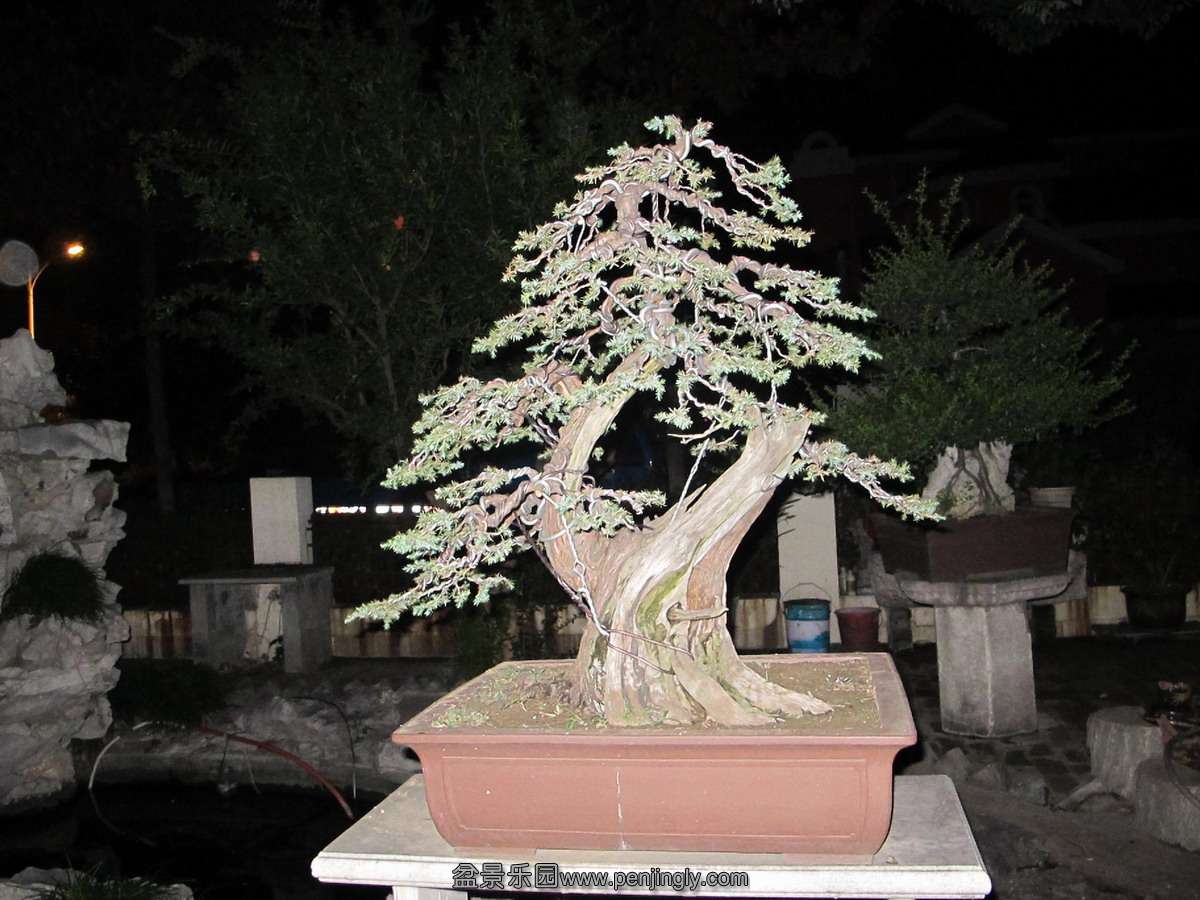 6.jpg