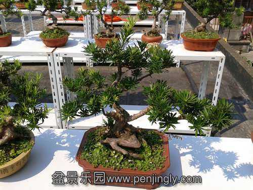 2013-09-03 13.49.26.jpg