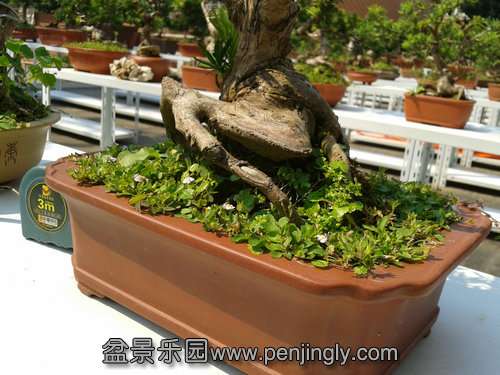 2013-09-03 13.49.46.jpg