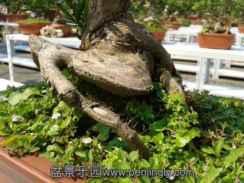 2013-09-03 13.50.08.jpg