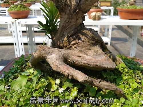 2013-09-03 13.50.49.jpg