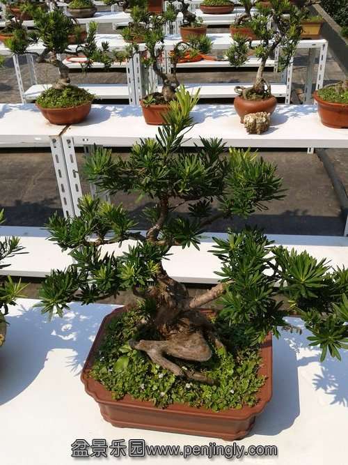 2013-09-03 13.48.43.jpg