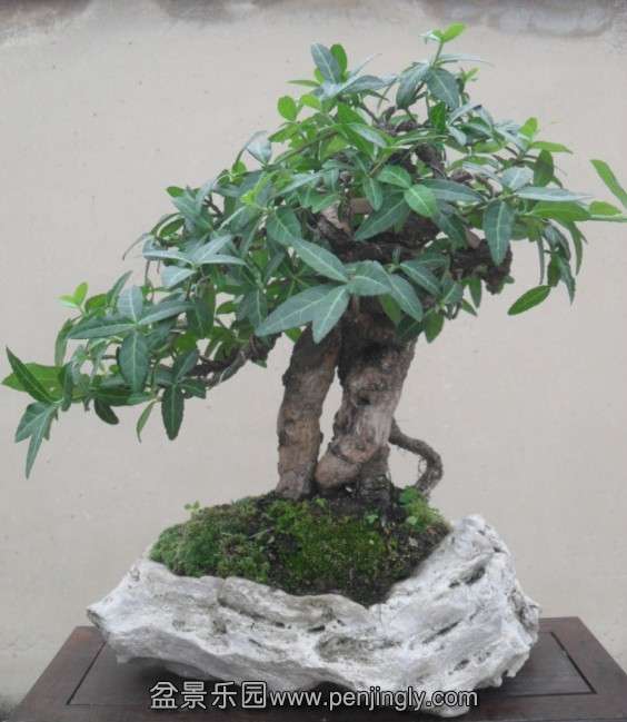 QQͼƬ20130904101001.jpg