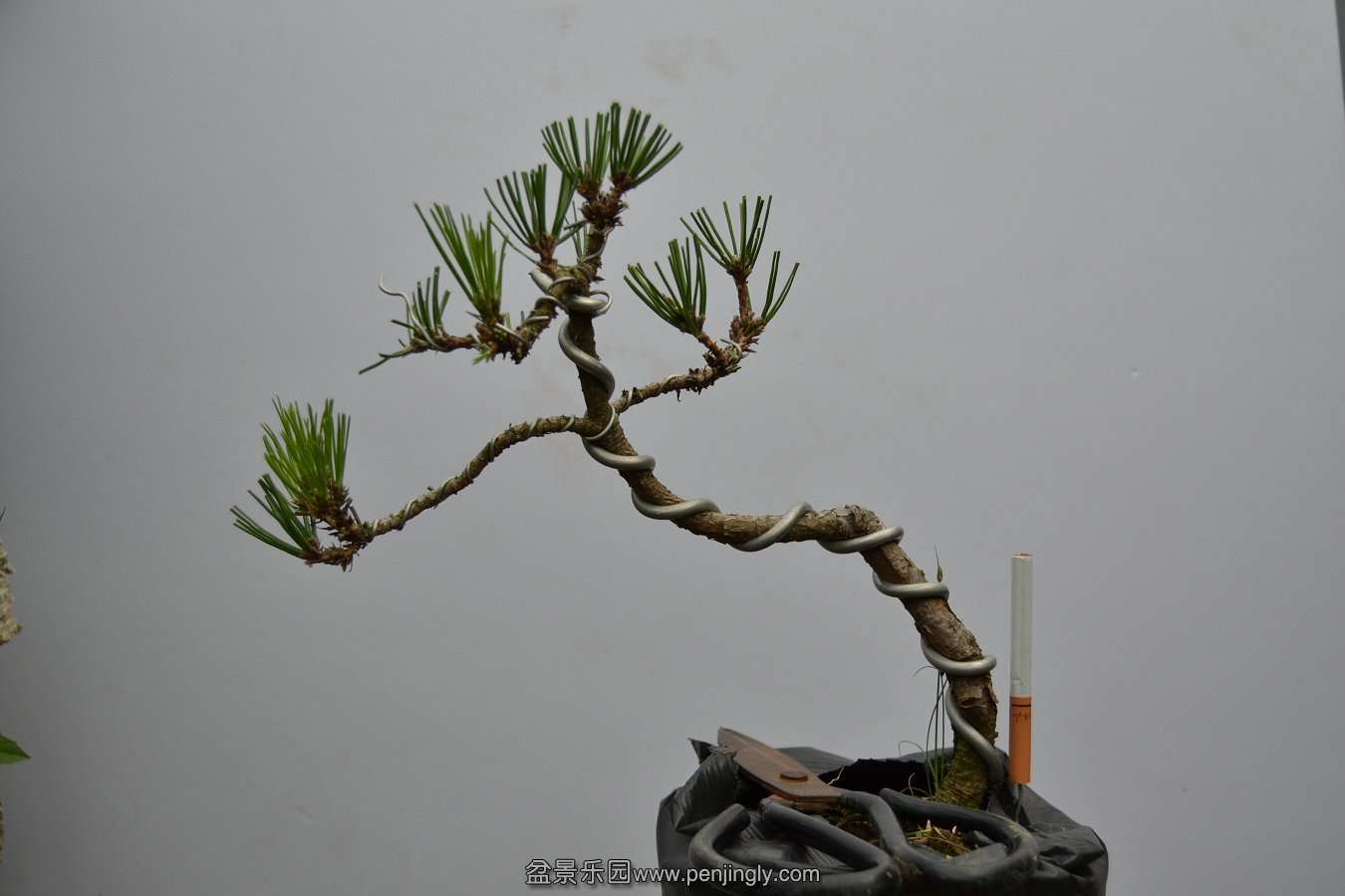 13-09-04۵С 008.jpg