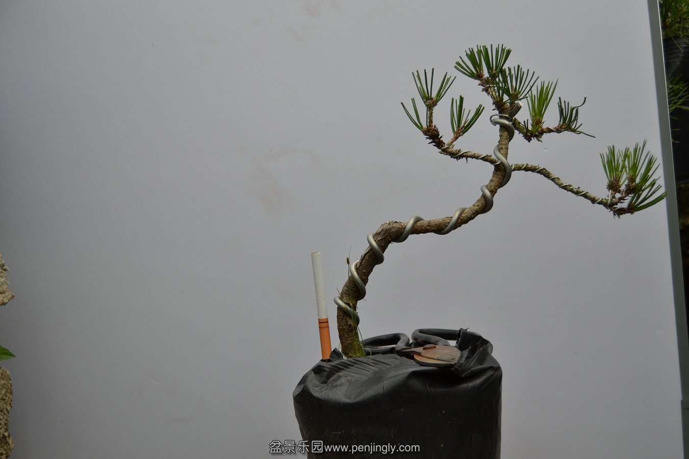 13-09-04۵С 009.jpg