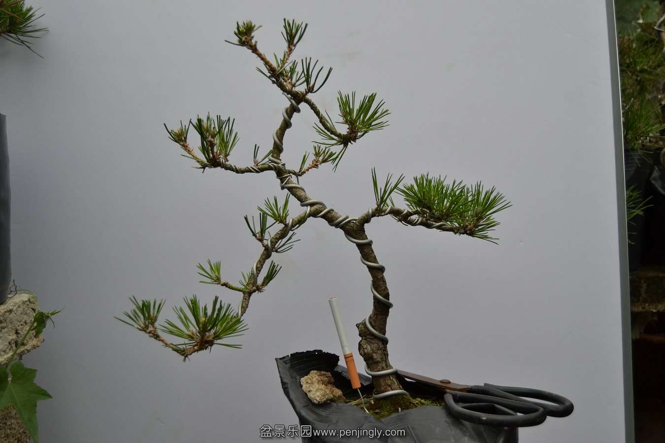 13-09-04۵С 010.jpg