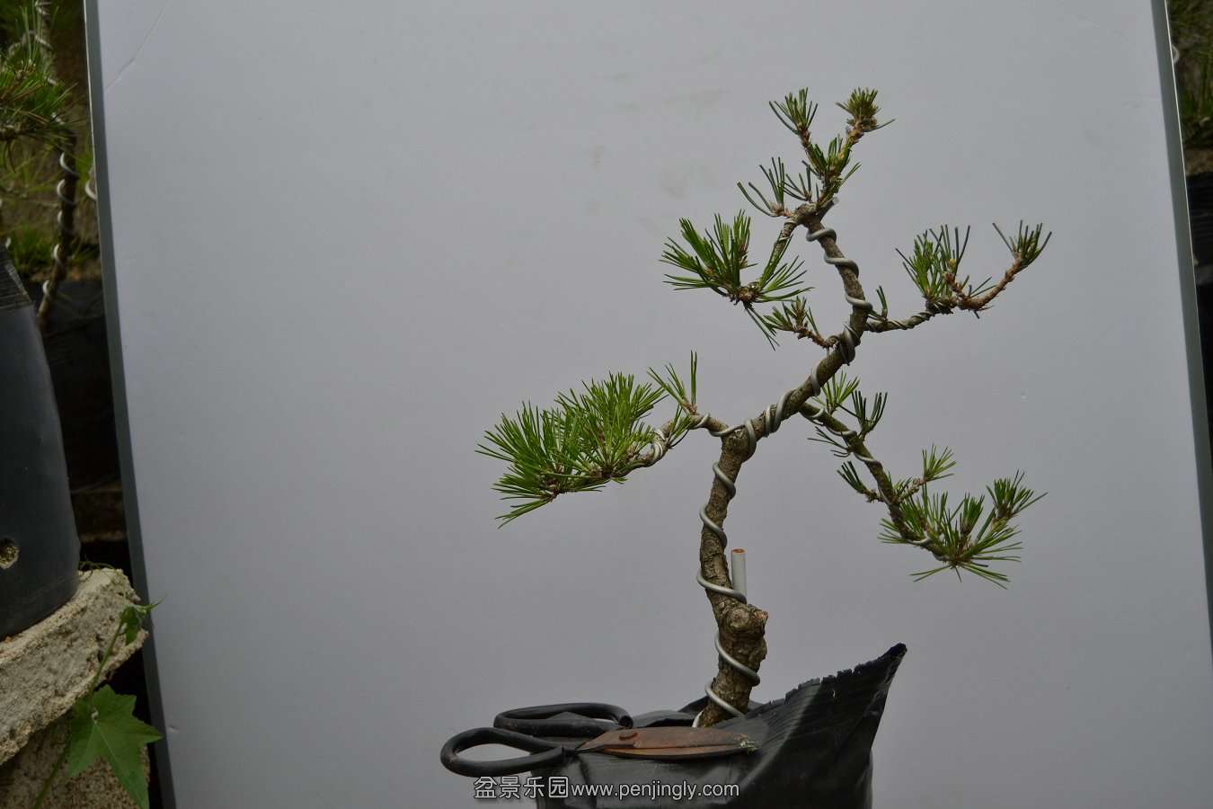 13-09-04۵С 011.jpg