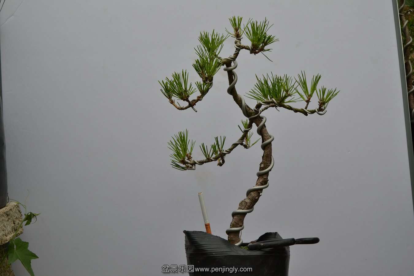 13-09-04۵С 012.jpg