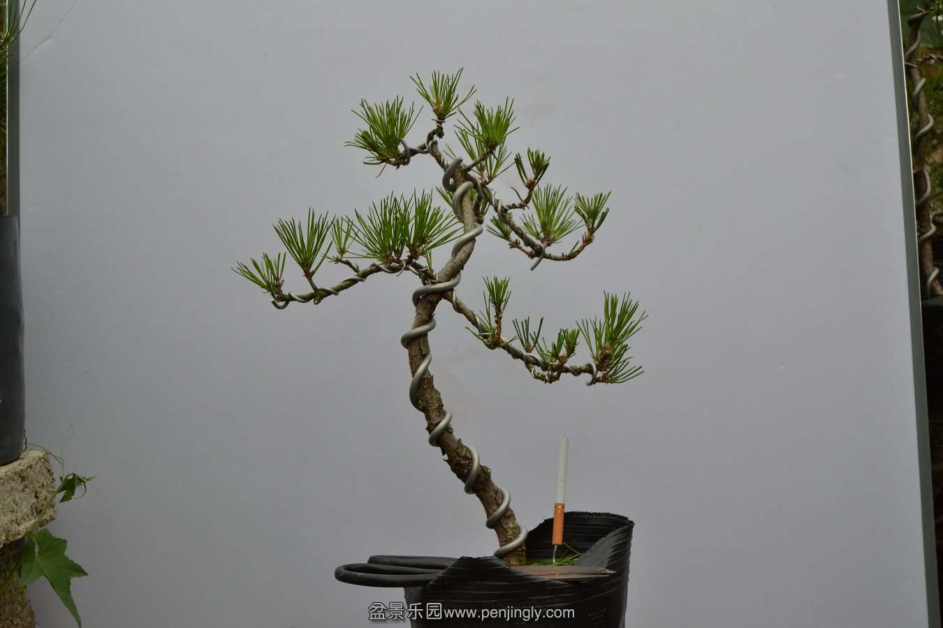 13-09-04۵С 013.jpg