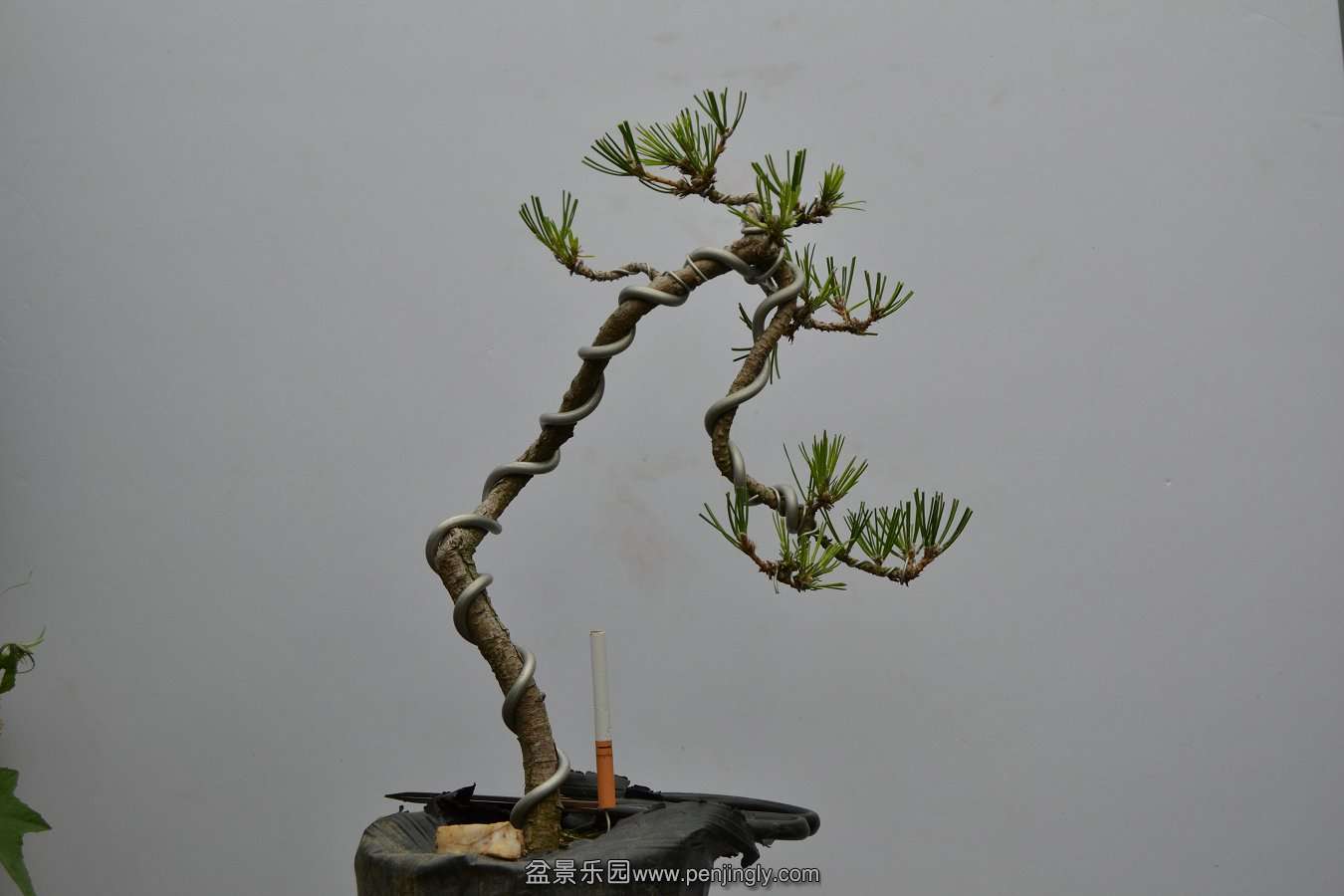 13-09-04۵С 014.jpg