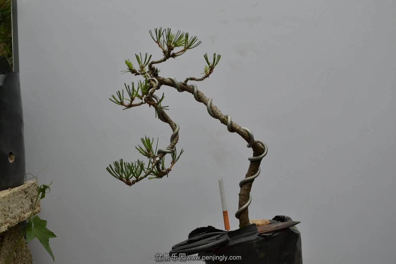 13-09-04۵С 015.jpg