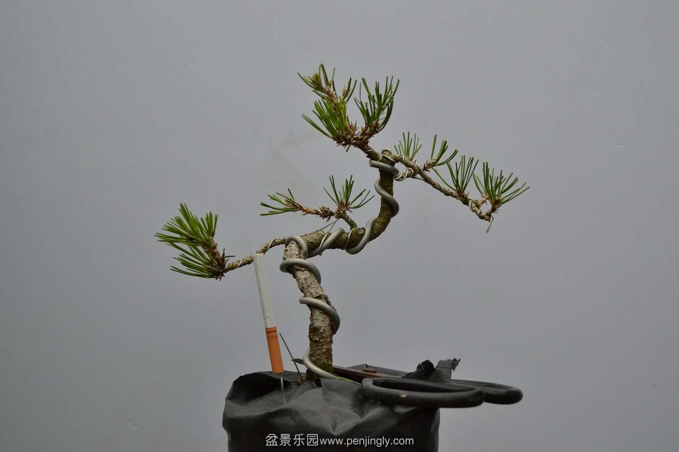 13-09-04۵С 016.jpg