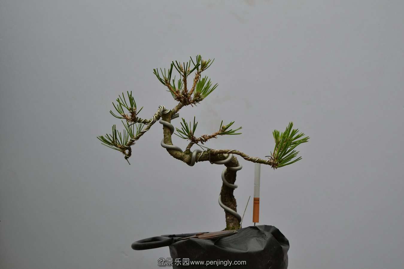 13-09-04۵С 017.jpg