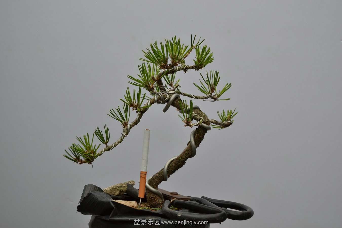 13-09-04۵С 018.jpg