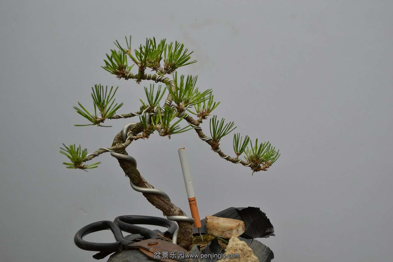 13-09-04۵С 019.jpg