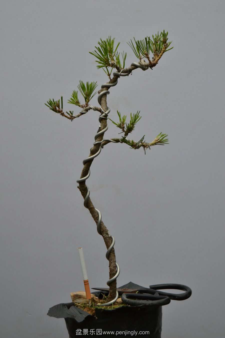 13-09-04۵С 020.jpg