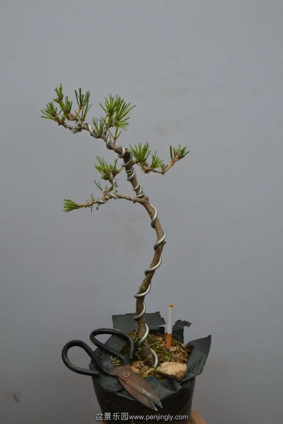 13-09-04۵С 021.jpg