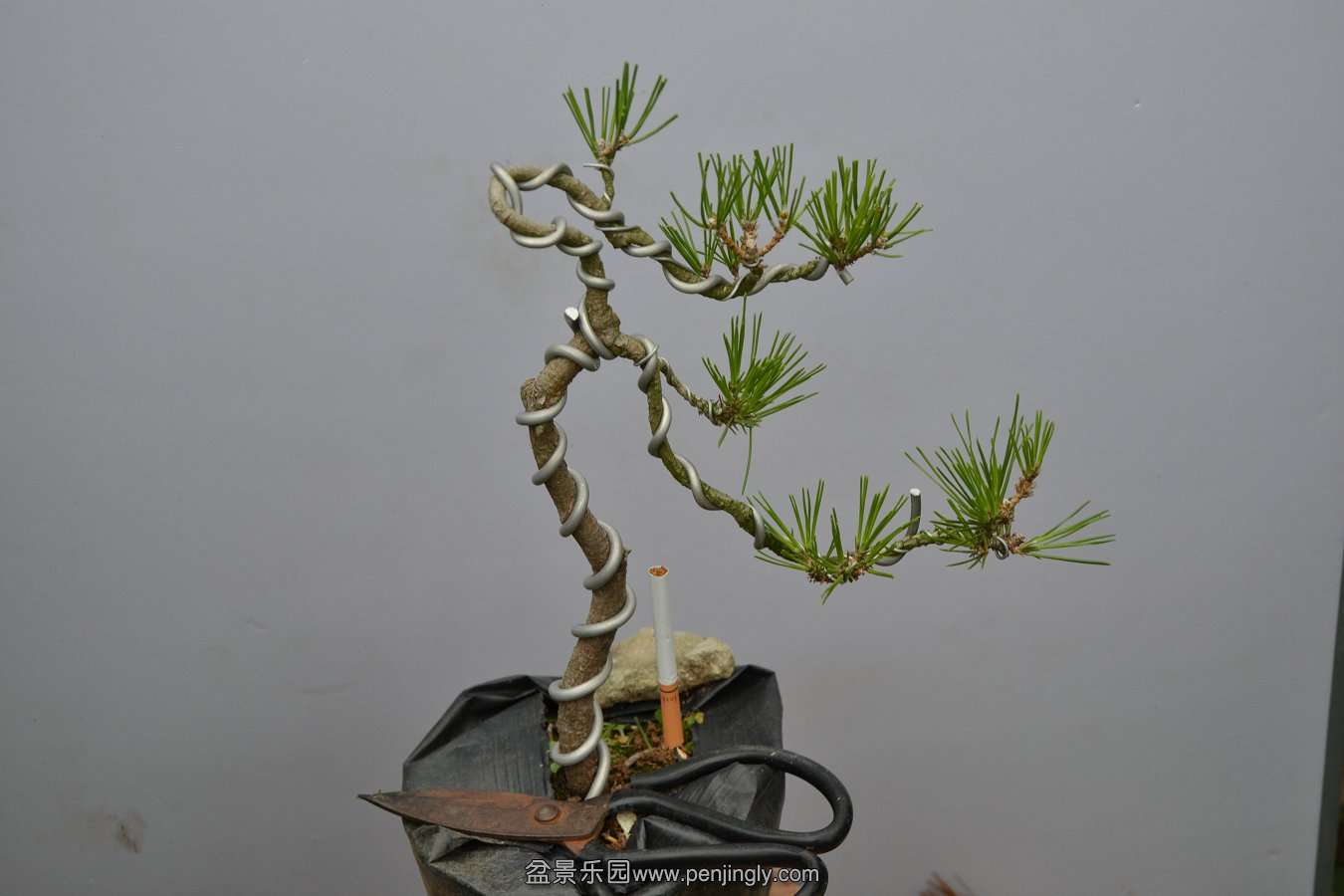 13-09-04۵С 022.jpg