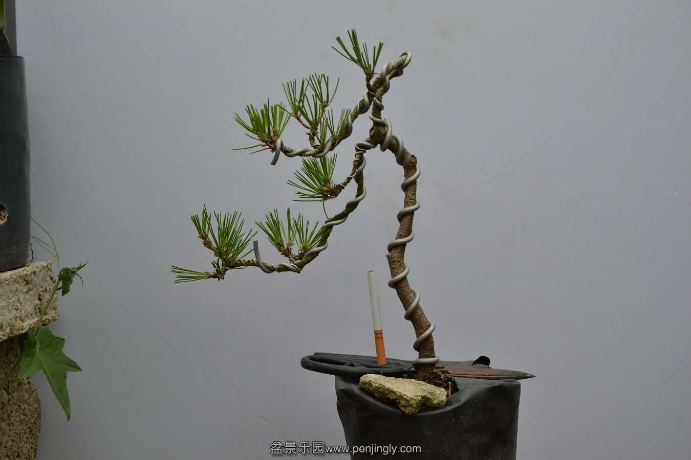 13-09-04۵С 023.jpg