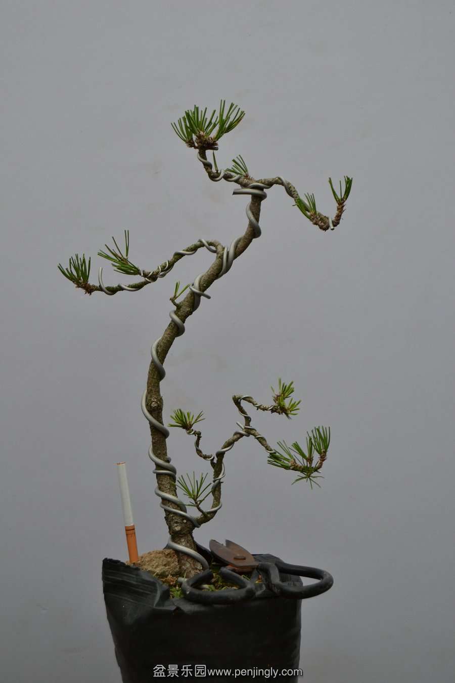 13-09-04۵С 024.jpg