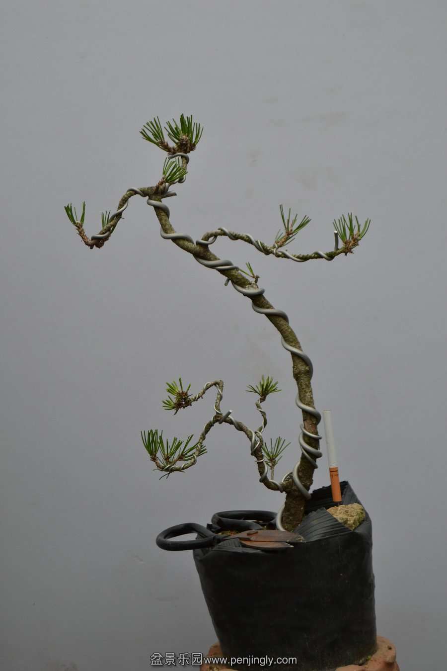 13-09-04۵С 025.jpg