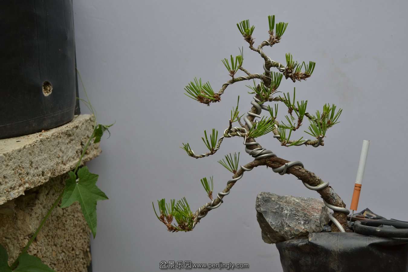 13-09-04۵С 026.jpg