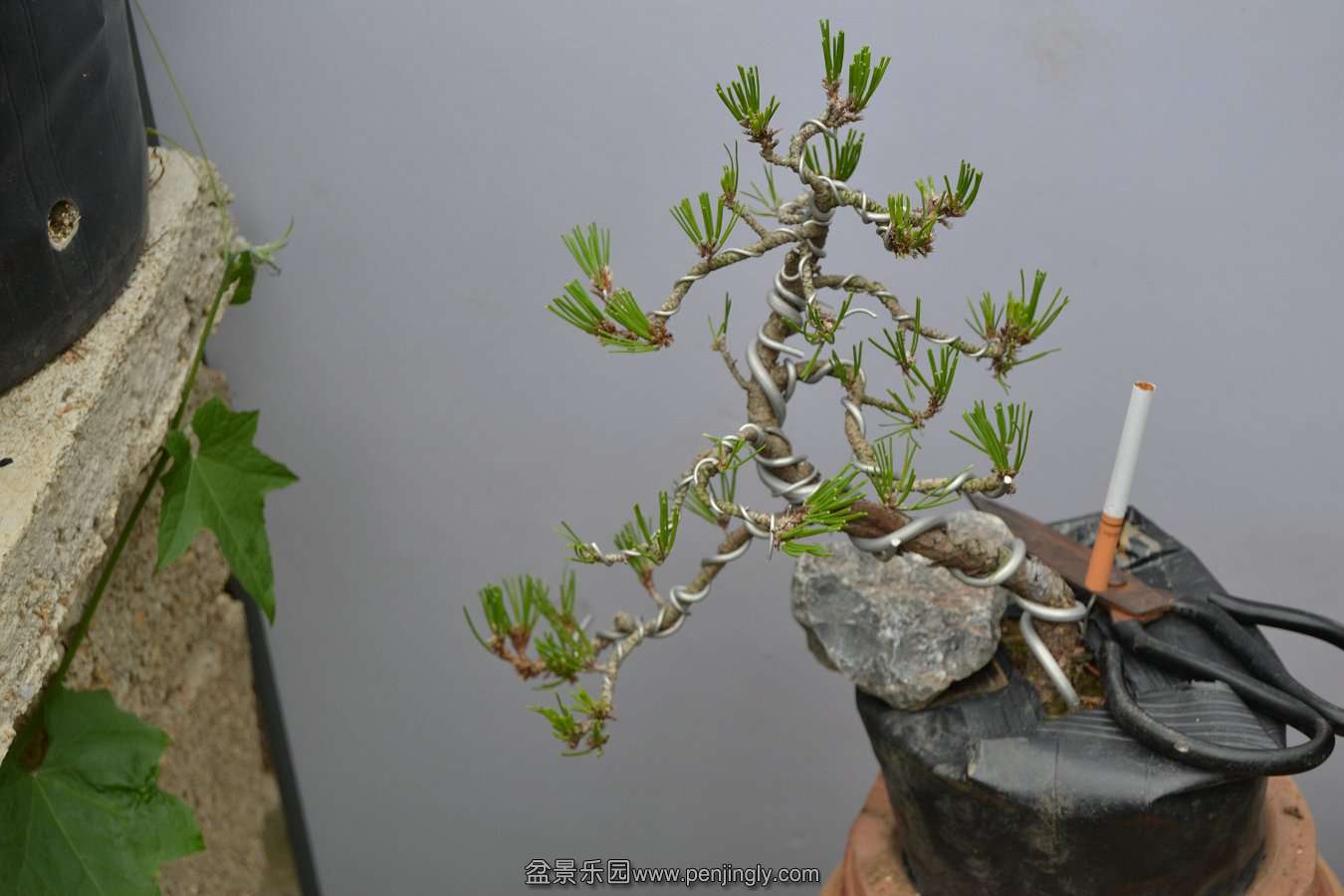 13-09-04۵С 027.jpg