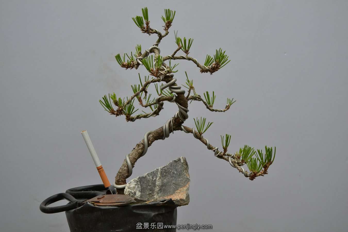 13-09-04۵С 028.jpg