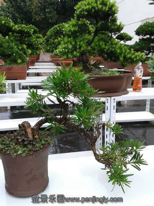 2013-09-05 14.23.44.jpg