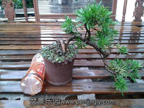 2013-09-05 14.15.35.jpg