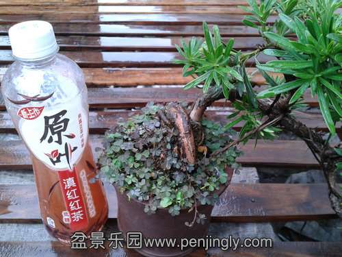 2013-09-05 14.16.21.jpg