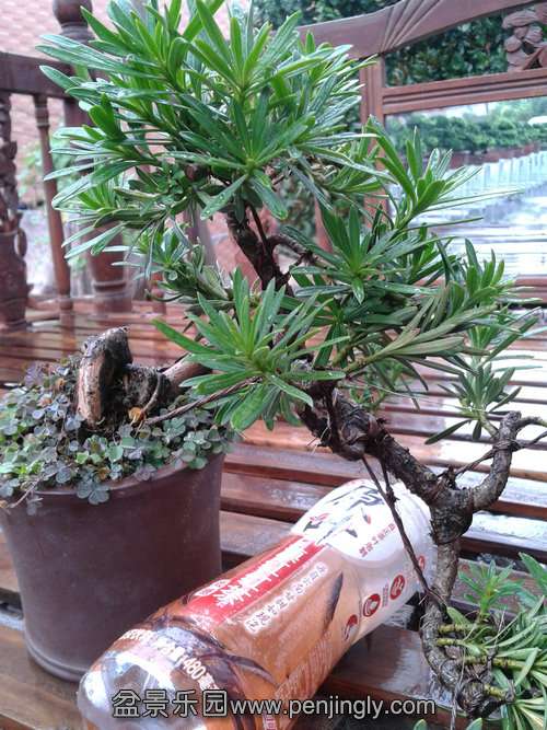 2013-09-05 14.17.20.jpg