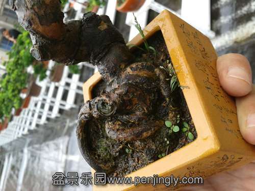 2013-09-05 15.03.04.jpg