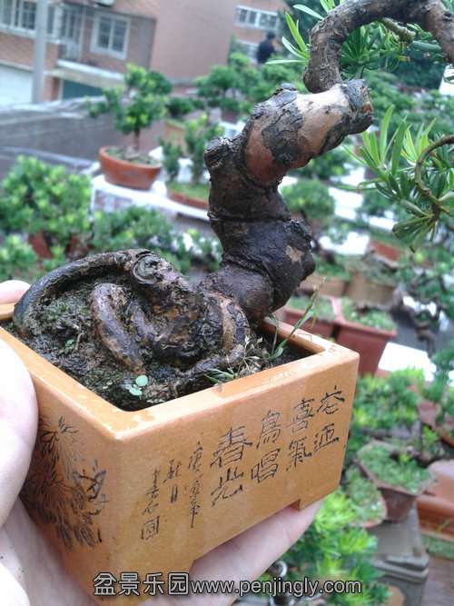 2013-09-05 15.04.08.jpg