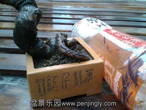 2013-09-05 15.08.16.jpg