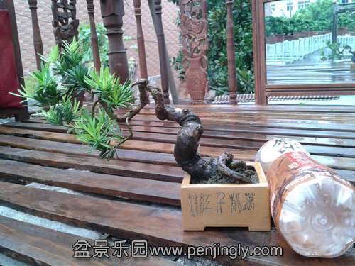 2013-09-05 15.08.33.jpg