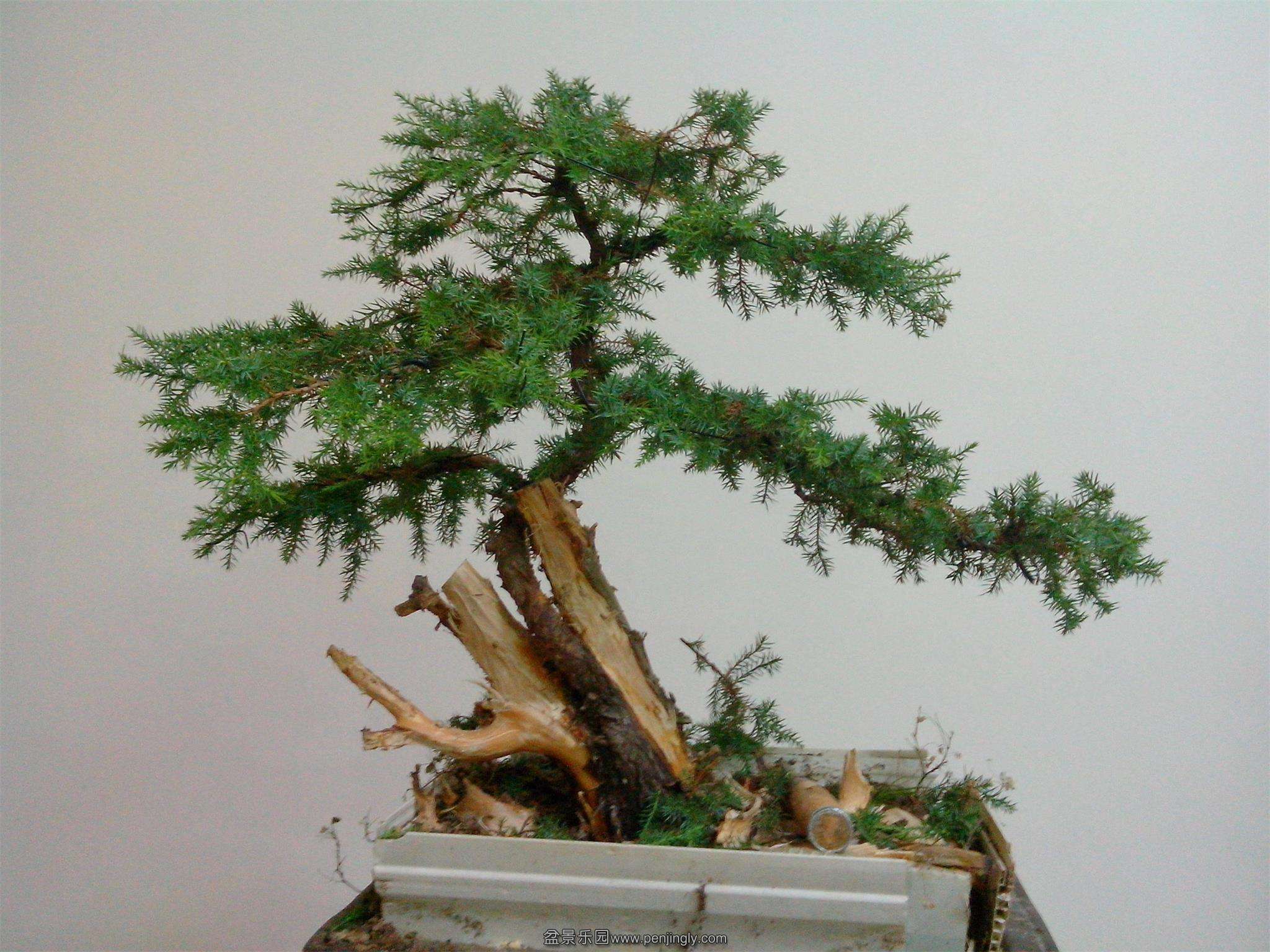 IMG20130906007.jpg