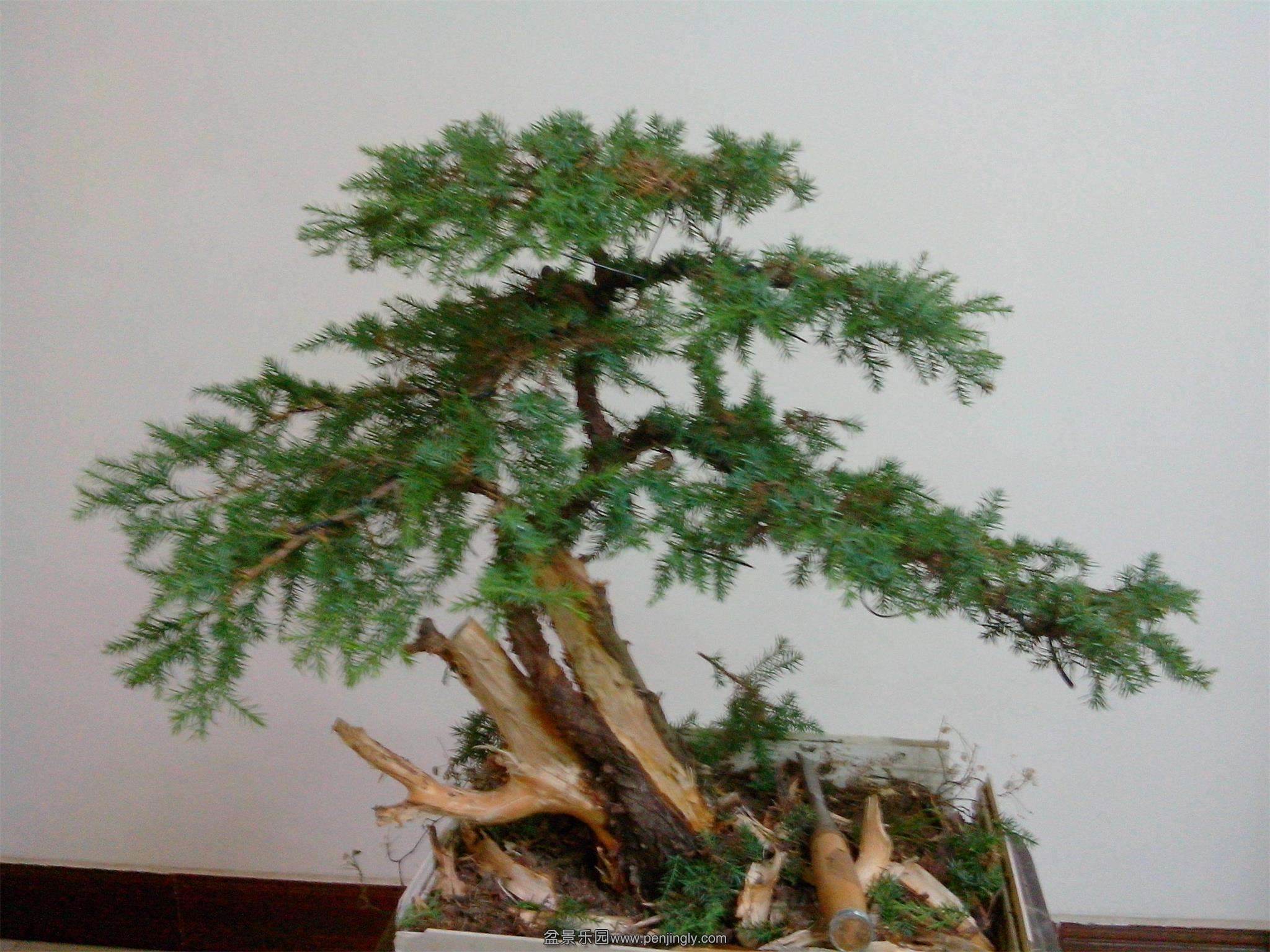 IMG20130906010.jpg