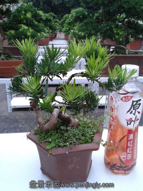 2013-09-07 17.01.34.jpg