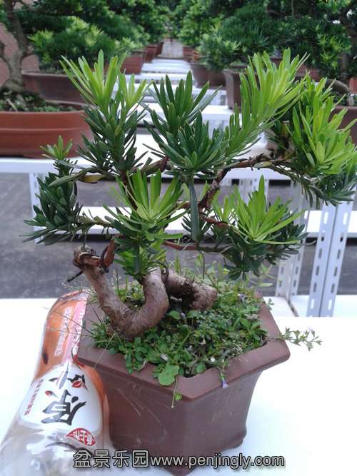 2013-09-07 17.03.41.jpg