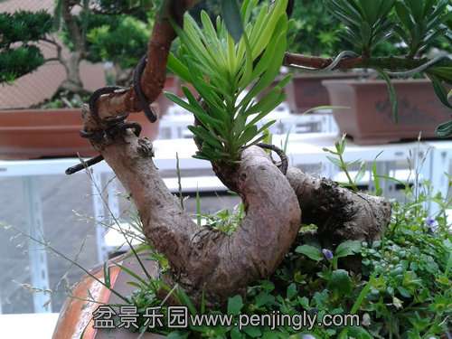 2013-09-07 17.03.56.jpg